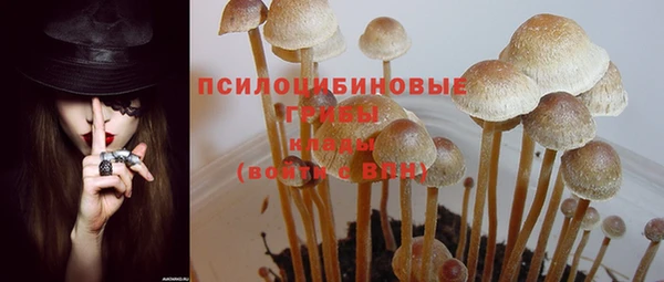 круглые Новозыбков