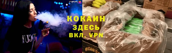 индика Домодедово
