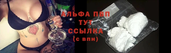 индика Домодедово