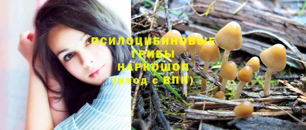 mdpv Магас