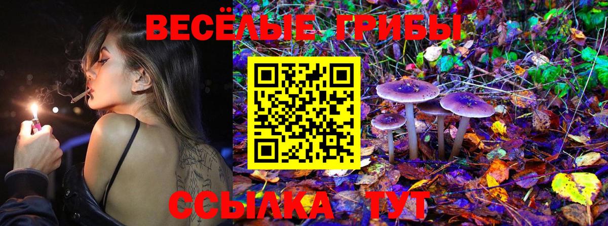 Псилоцибиновые грибы Psilocybe  Вход с VPN  Галлюциногенные грибы Magic Shrooms  Жуковский 