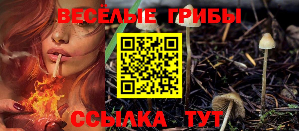 Псилоцибиновые грибы Psilocybine cubensis Жуковский