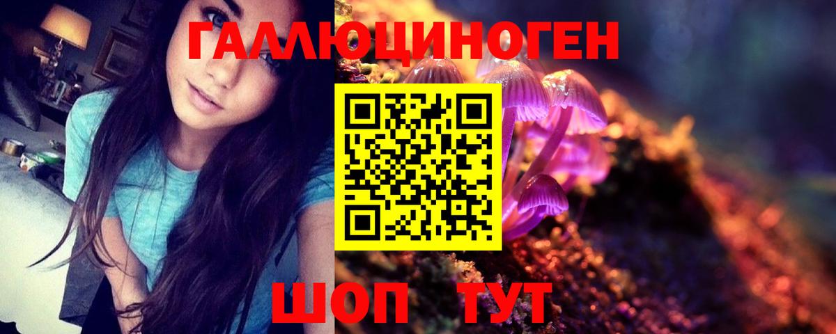 Галлюциногенные грибы GOLDEN TEACHER  Жуковский  Псилоцибиновые грибы мицелий 